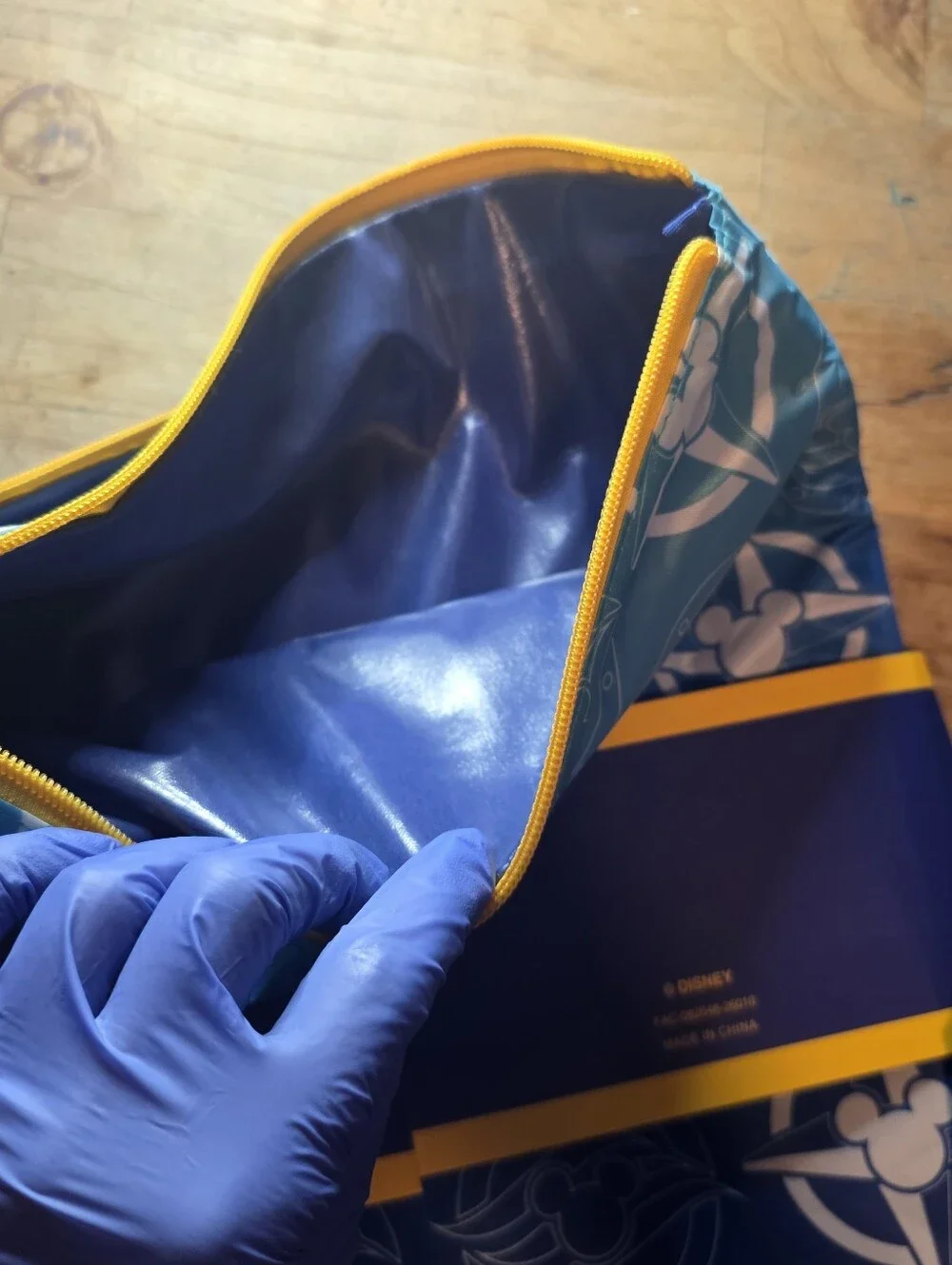 NWT Exclusive Disney cruise line backpack and Wet/dry bag.